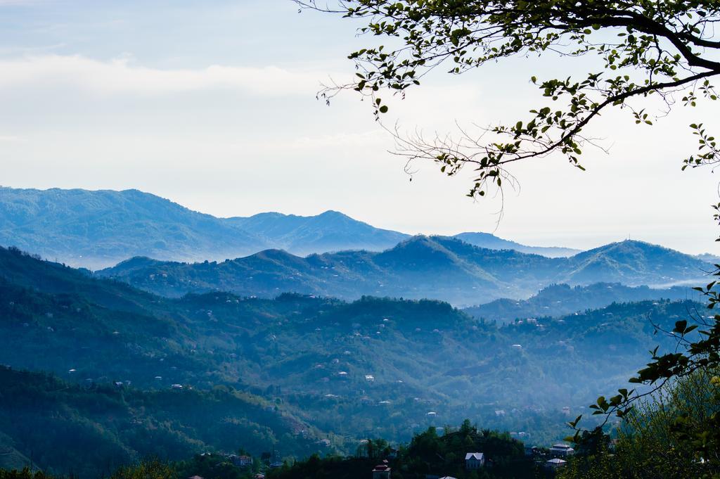فندق Agaraفي  La Belle Verte المظهر الخارجي الصورة
