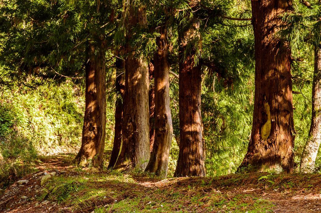 فندق Agaraفي  La Belle Verte المظهر الخارجي الصورة